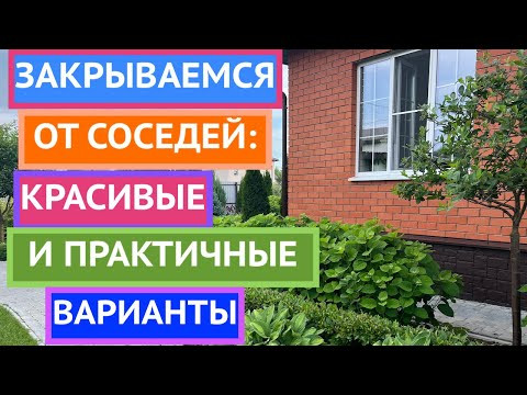Что делать, если соседские окна смотрят прямо на участок?