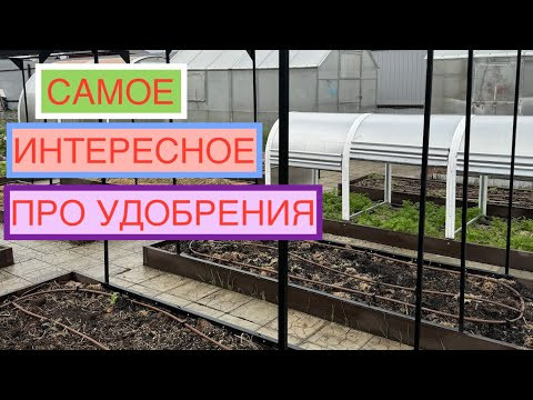 ПРЯМОЙ ЭФИР ОТ СОЗДАТЕЛЯ ОРГАНИК МИКС!