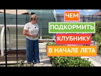 Как вырастить урожай самой вкусной и сладкой клубники!