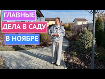 САД В НОЯБРЕ! УСПЕЙТЕ ЭТО СДЕЛАТЬ!