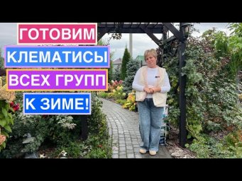 Как отправить на зимовку клематисы любой группы обрезки!