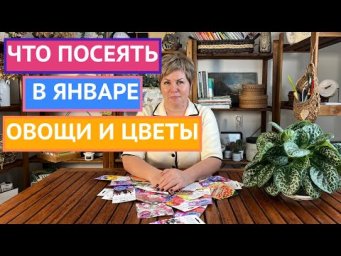 УСПЕЙТЕ ПОСЕЯТЬ ЭТИ ОВОЩИ И ЦВЕТЫ В ЯНВАРЕ!