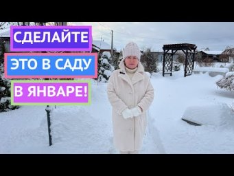 САД В ЯНВАРЕ! ОБЯЗАТЕЛЬНО СДЕЛАЙТЕ ЭТО!