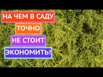 Четыре вещи на которых точно не стоит экономить в саду!