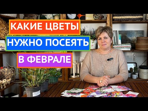 НЕ ПРОПУСТИТЕ! ЭТИ ЦВЕТЫ МЫ СЕЕМ В ФЕВРАЛЕ