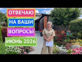 Вы просили - я сделала! Отвечаю на ваши вопросы по саду и огороду!