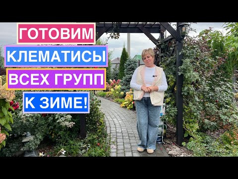 Как отправить на зимовку клематисы любой группы обрезки! Как отправить на зимовку клематисы любой группы обрезки!