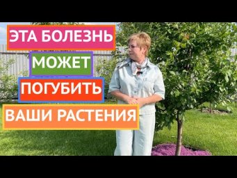ЧЕМ ОПСАЕН МОНИЛИОЗ И КАК ОТ НЕГО ИЗБАВИТЬСЯ!