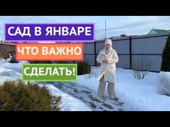 ВСЕ В САД! ОСНОВНЫЕ ДЕЛА ЯНВАРЯ