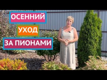ЧТО ВАЖНО СДЕЛАТЬ С ПИОНАМИ ОСЕНЬЮ!