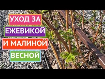 УДВАИВАЕМ УРОЖАЙ ЯГОД!