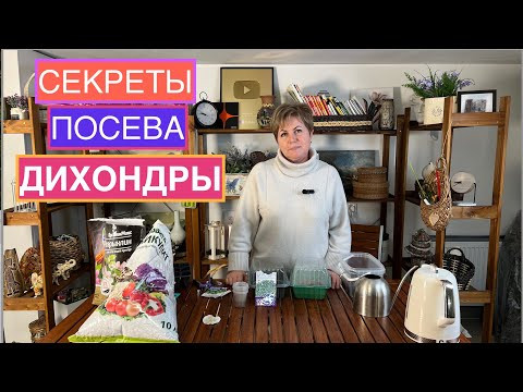 ЛУЧШИЙ СПОСОБ ПОСЕВА ДИХОНДРЫ!