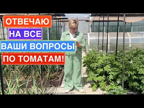 Главные советы для наилучшего урожая томатов!