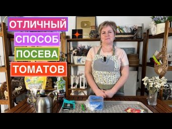 Сеем томаты! Мой любимый способ!