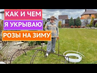 ЛУЧШИЕ СПОСОБЫ УКРЫТИЯ РОЗ 2025!