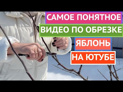 КАК ОБРЕЗАТЬ ЯБЛОНЮ ВЕСНОЙ: ПОКАЗЫВАЮ И РАССКАЗЫВАЮ ПРОСТЫМ И ПОНЯТНЫМ ЯЗЫКОМ! КАК ОБРЕЗАТЬ ЯБЛОНЮ ВЕСНОЙ: ПОКАЗЫВАЮ И РАССКАЗЫВАЮ ПРОСТЫМ И ПОНЯТНЫМ ЯЗЫКОМ!