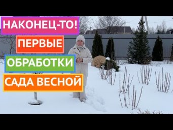 НЕ ПРОПУСТИТЕ ЭТИ ОБРАБОТКИ! ГЛАВНЫЕ РАБОТЫ В САДУ В МАРТЕ!