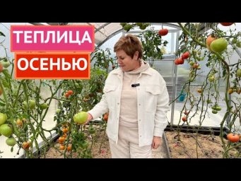 КОНЕЦ СЕЗОНА! ЗАКРЫВАЕМ ТЕПЛИЦЫ НА ЗИМУ ПРАВИЛЬНО!