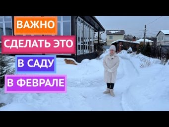 ОСНОВНЫЕ РАБОТЫ В САДУ В ФЕВРАЛЕ!