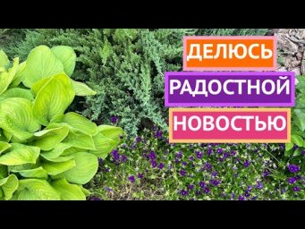 Друзья, я приняла важное решение