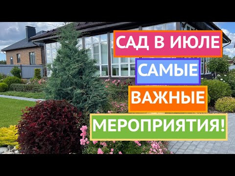 УСПЕЙТЕ СДЕЛАТЬ ЭТИ ДЕЛА В САДУ В ИЮЛЕ!!