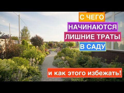 Почему стильный сад становится дорогим — и куда на самом деле уходят деньги? Почему стильный сад становится дорогим — и куда на самом деле уходят деньги?
