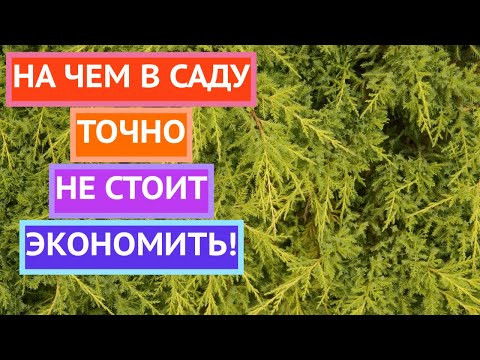 Четыре вещи на которых точно не стоит экономить в саду! Четыре вещи на которых точно не стоит экономить в саду!