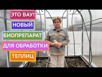 Чем обработать теплицу весной! Новый препарат!
