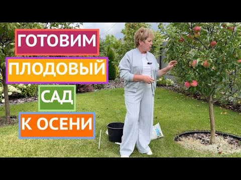 ВАЖНЫЕ ЭТАПЫ ПОДГОТОВКИ ПЛОДОВОГО САДА К ЗИМЕ!