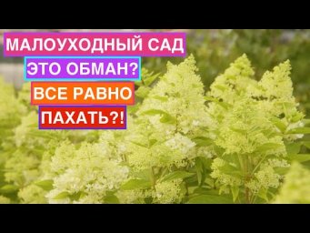 Почему малоуходный сад &mdash; это не миф, а вопрос правильного выбора?
