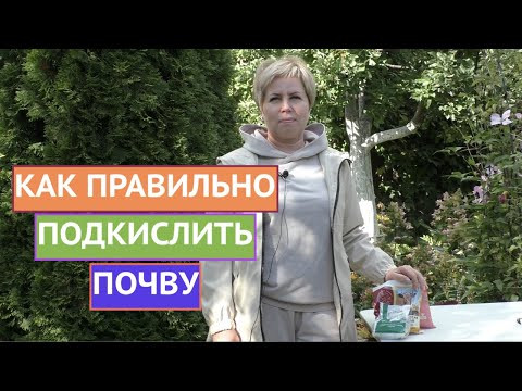 КАК "ИСПРАВИТЬ" ЩЕЛОЧНУЮ ПОЧВУ И СДЕЛАТЬ ЕЕ ПОДХОДЯЩЕЙ ДЛЯ РАСТЕНИЙ! КАК "ИСПРАВИТЬ" ЩЕЛОЧНУЮ ПОЧВУ И СДЕЛАТЬ ЕЕ ПОДХОДЯЩЕЙ ДЛЯ РАСТЕНИЙ!