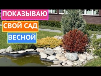 ПРИГЛАШАЮ ПРОГУЛЯТЬСЯ ПО МОЕМУ САДУ ВЕСНОЙ!