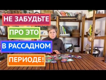 Еще раз о грунтах!