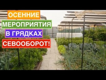 Важно сделать это в грядках в конце сезона! Готовим сани с лета - версия садоводов!
