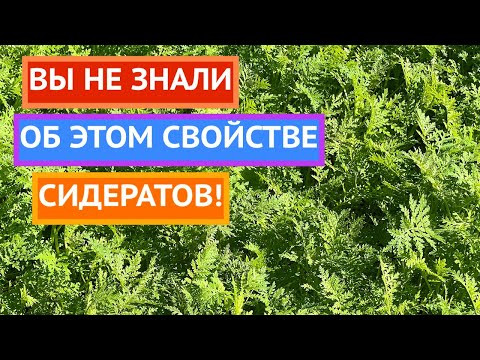САДОВОДУ БЕЗ НИХ НЕ ОБОЙТИСЬ!