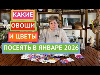 НЕ ПРОПУСТИТЕ! ЭТИ ЦВЕТЫ И ОВОЩИ МЫ СЕЕМ В ЯНВАРЕ!