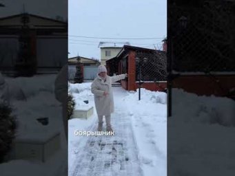 ИДЕЯ ДЛЯ ВАШЕГО САДА! ЭТИ ДЕРЕВЬЯ КРАСИВЫЕ ДАЖЕ ЗИМОЙ!