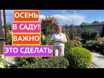 ВАЖНЫЕ САДОВЫЕ ДЕЛА СЕНТЯБРЯ!