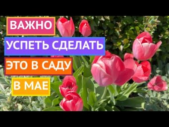 ИНСТРУКЦИЯ ПО УХОДУ ЗА САДОМ В МАЕ!
