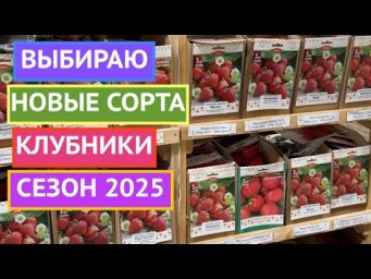 ЭТИ СОРТА КЛУБНИКИ МЕНЯ ПОКОРИЛИ!