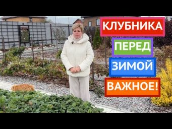 ОБЯЗАТЕЛЬНО СДЕЛАЙТЕ ЭТО С КЛУБНИКОЙ ПЕРЕД ЗИМОЙ!