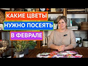 НЕ ПРОПУСТИТЕ! ЭТИ ЦВЕТЫ МЫ СЕЕМ В ФЕВРАЛЕ