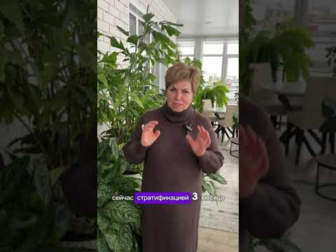 ЭТИ ЦВЕТЫ МЫ СЕЕМ В ДЕКАБРЕ!