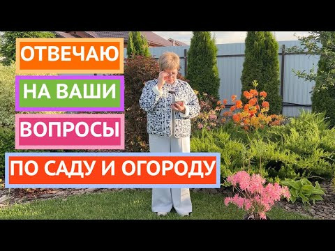 Самый долгожданный ролик месяца!