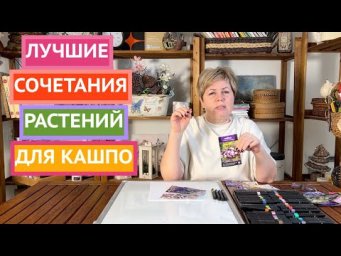 Лучшие сочетания растений для высадки в кашпо и контейнеры!