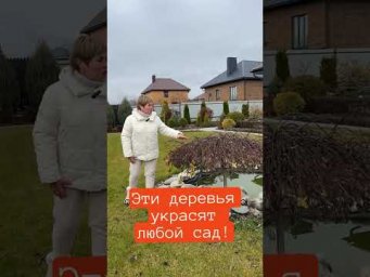 ЭТИ ДЕРЕВЬЯ УКРАСЯТ ЛЮБОЙ САД!