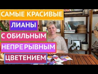 САМЫЕ НЕОБЫЧНЫЕ ЛИАНЫ, КОТОРЫЕ РАСТУТ В СРЕДНЕЙ ПОЛОСЕ!