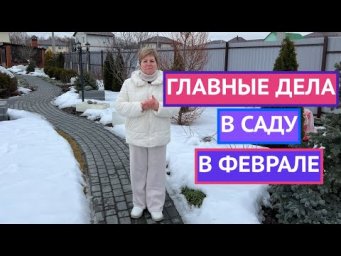 СРОЧНО! РАСТЕНИЯ ПРОСНУЛИСЬ, ЧТО ДЕЛАТЬ!