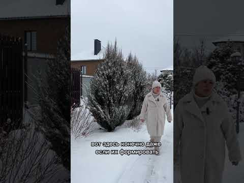 ВАЖНО! СДЕЛАЙТЕ ЭТО ВО ВРЕМЯ СНЕГОПАДОВ!