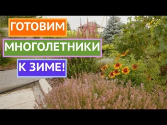 КАК ПРАВИЛЬНО ОТПРАВЛЯТЬ МНОГОЛЕТНИЕ РАСТЕНИЯ В ЗИМУ!
